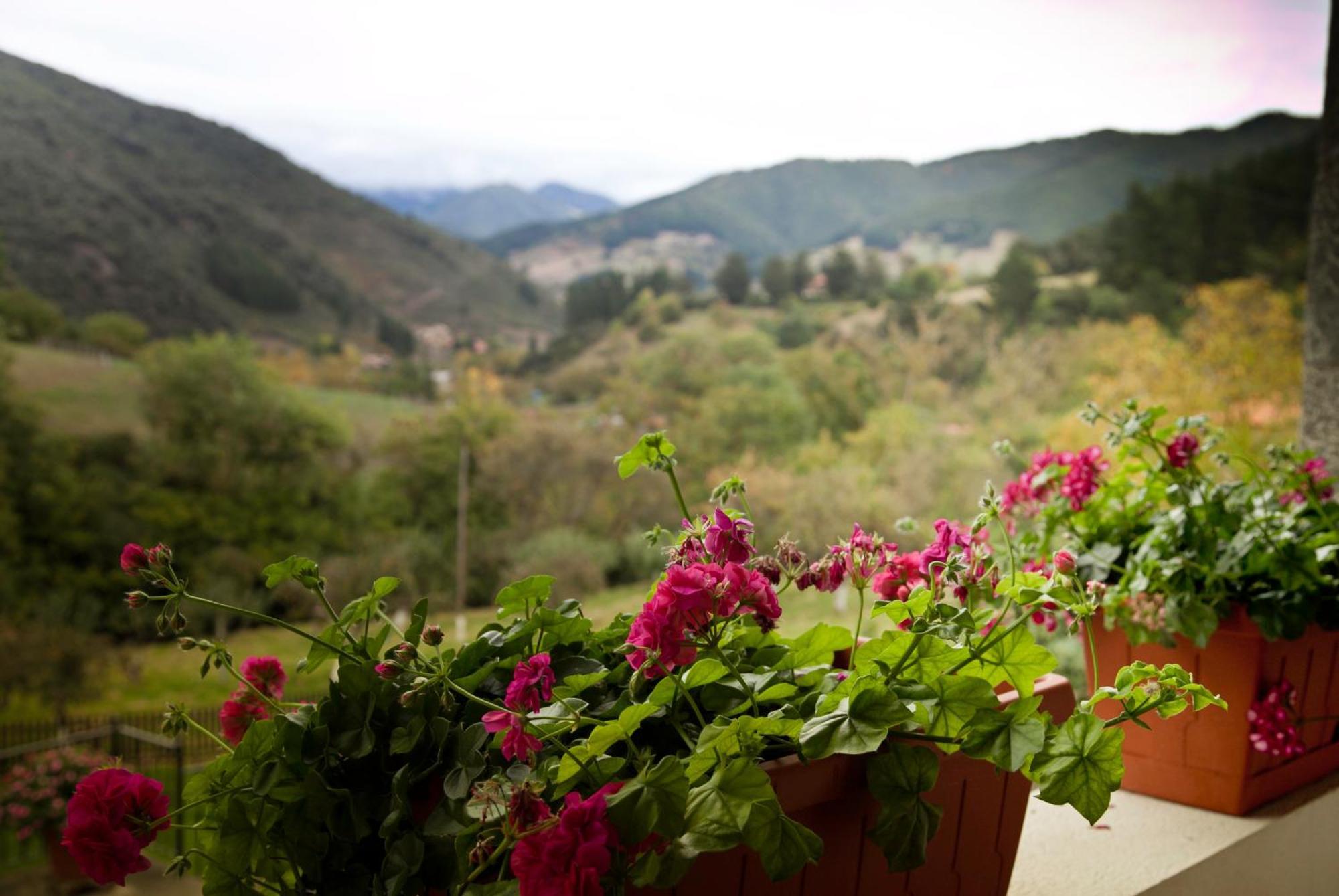 Viviendas Rurales Traldega Turieno Kültér fotó